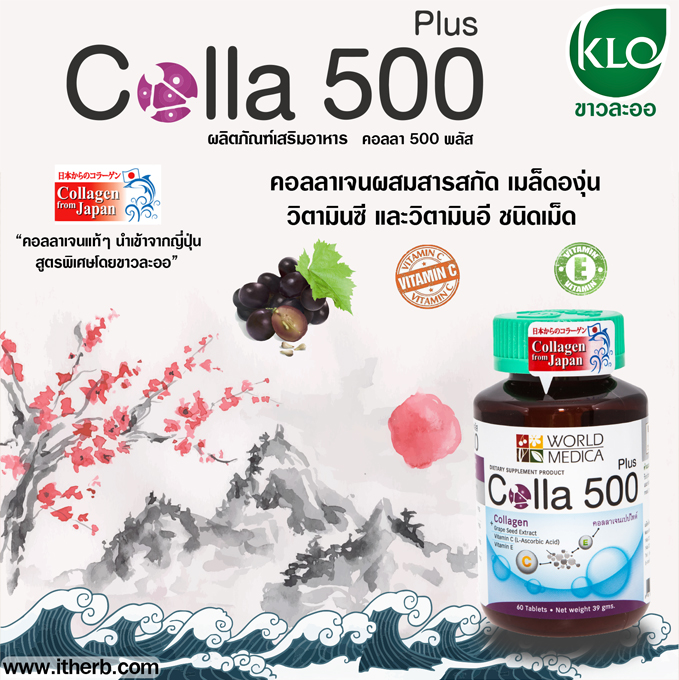 10 อันดับ คอลลาเจน ยี่ห้อไหนดี พร้อมวิธีการเลือกซื้อ Collagen 2024 1