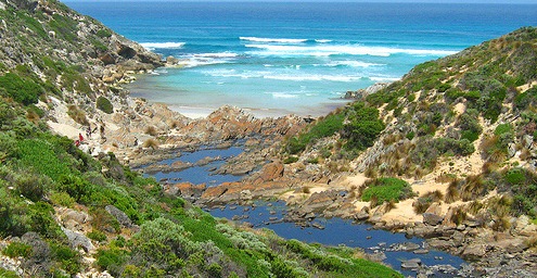 เกาะแกงการู (Kangaroo Island)