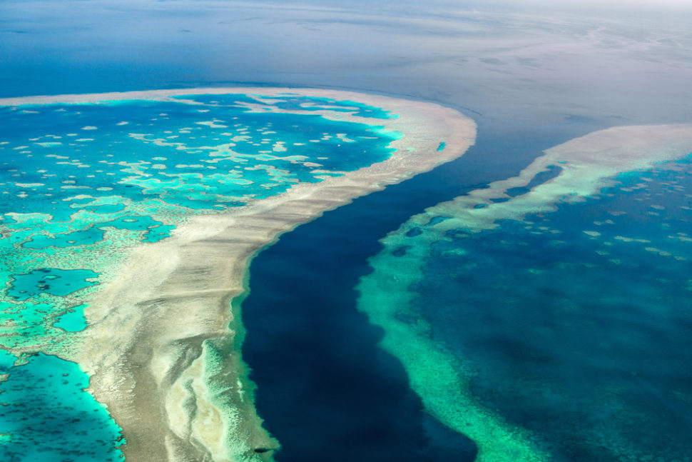 แครนส์ (Cairns) รัฐควีนส์แลนด์ (Queensland)