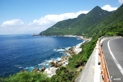 ป่าพิศวง (Shiratani Unsuikyo Gorge) คาโกชิม่า