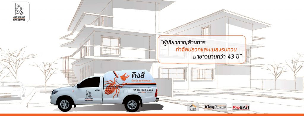 บริการกำจัดปลวก กำจัดแมลง สัตว์รบกวน - King Service Center