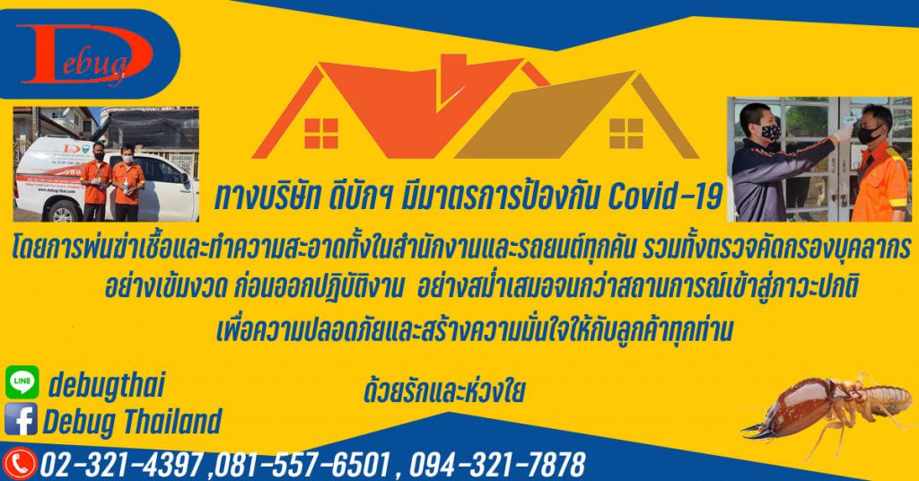 บริษัทกำจัดปลวก ‪bug-people - Pest control กำจัดปลวก Exterra