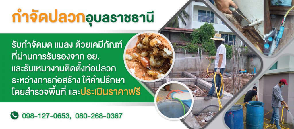 กำจัดปลวก-อุบลราชธานี.com บริการกำจัดปลวกอุบล เคลียร์มด แมลงสาบ