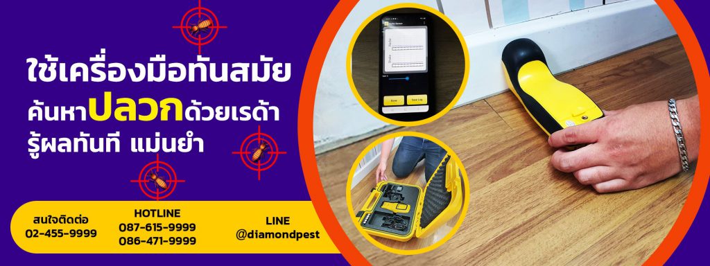 Diamond Pest บริการกำจัดปลวกอุบล เทคนิคกำจัดทันสมัยการใช้เรดาห์ตรวจจับค้นหาได้ทันที