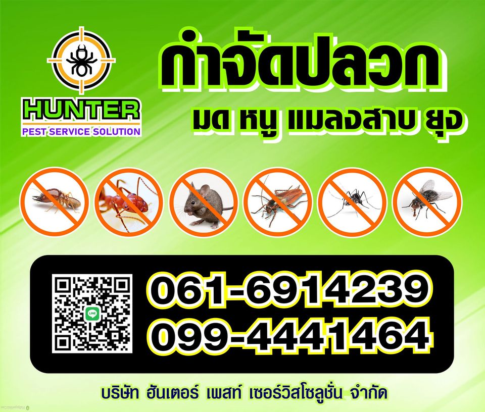 Hunter Pest Service บริษัทกำจัดปลวกอีสาน ป้องกัน กำจัดปลวกอย่างถูกวิธีและปลอดภัย