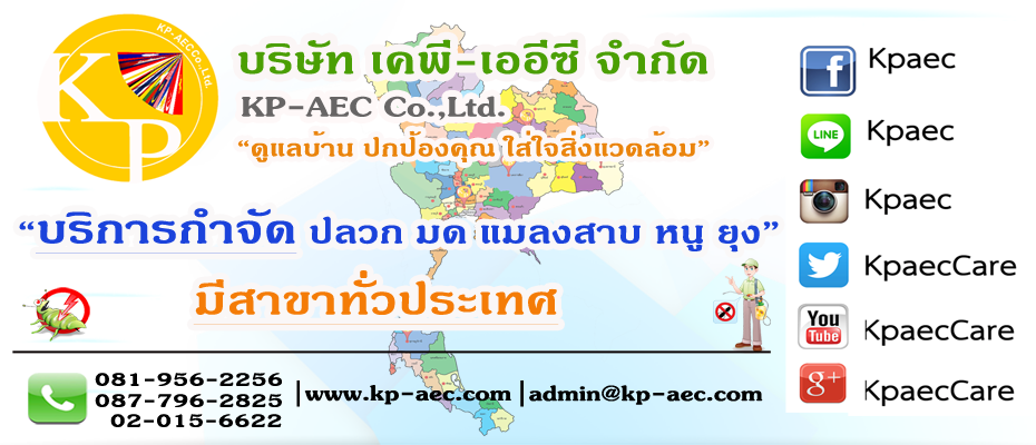 KP-AEC บริษัทกำจัดปลวกอุบล รับประกันความปลอดภัยที่อยู่อาศัย ดูแลทุกจุดภายในที่ตรวจเช็ค