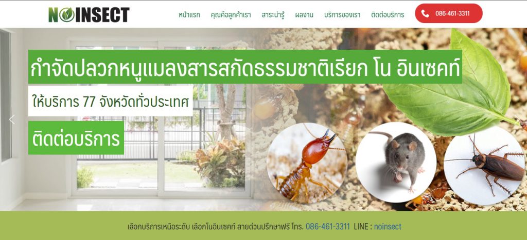 No-Insect บริษัทกำจัดปลวกภาคอีสาน รับประกันทุกขั้นตอนกำจัดแมลงกวนใจทุกชนิด