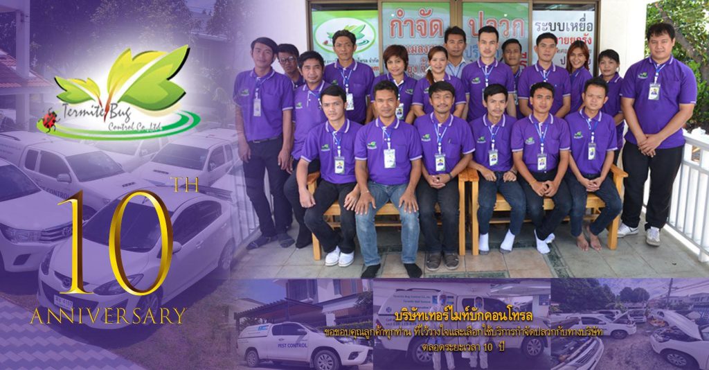 Termite Bug รับกำจัดปลวกอีสาน บริการถึงที่หมาย นัดตรวจเช็คประเมินอย่างถูกหลักเหมาะสม