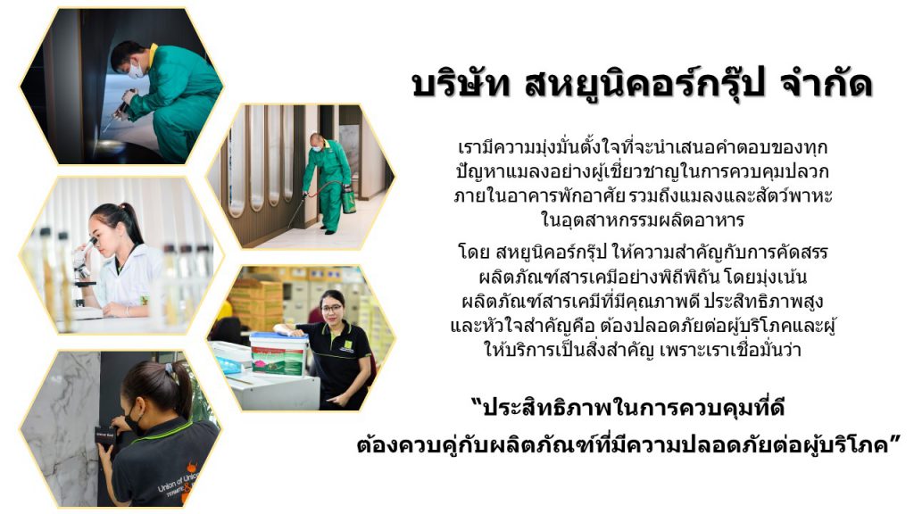 Unicor Group บริษัทกำจัดปลวกอีสาน มุ่งมั่นทุกการให้บริการ กำจัดแมลงกวนใจภายในบ้าน