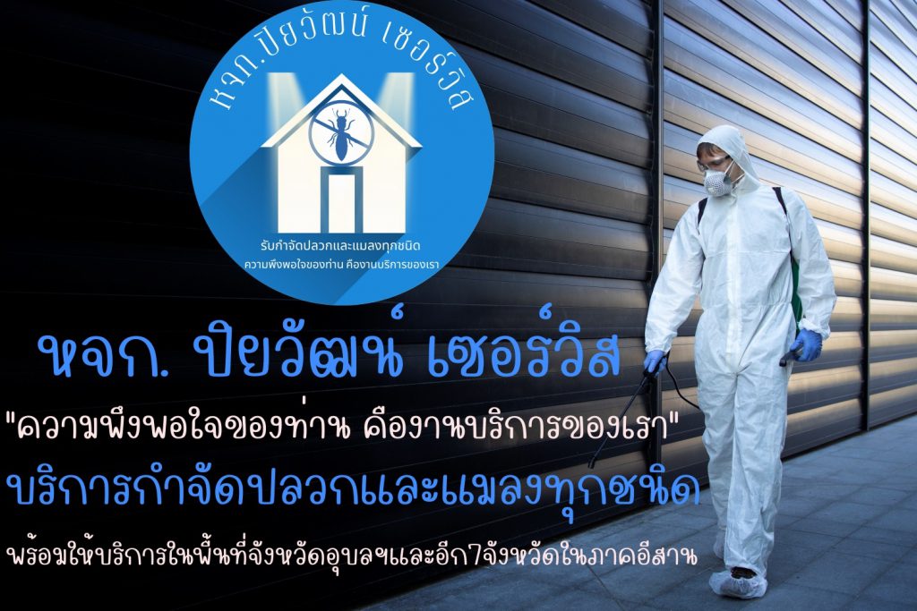 ปิยวัฒน์ เซอร์วิส รับกำจัดปลวกอีสาน เริ่มต้นการมีช่วงเวลาปลอดแมลงกวนใจภายในบ้าน