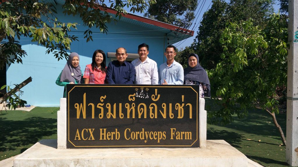 ACX Herb Thailand บริการรับผลิตถั่งเช่า รับประกันคุณภาพ ขั้นตอนการผลิตที่ได้มาตรฐาน