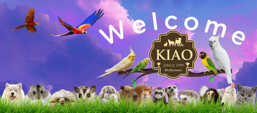 KIAO PET SHOP ร้านขายสินค้าสัตว์เลี้ยง รับประกันคุณภาพของตัวสินค้า ซื้อในราคาปลีก-ส่ง ได้คุ้