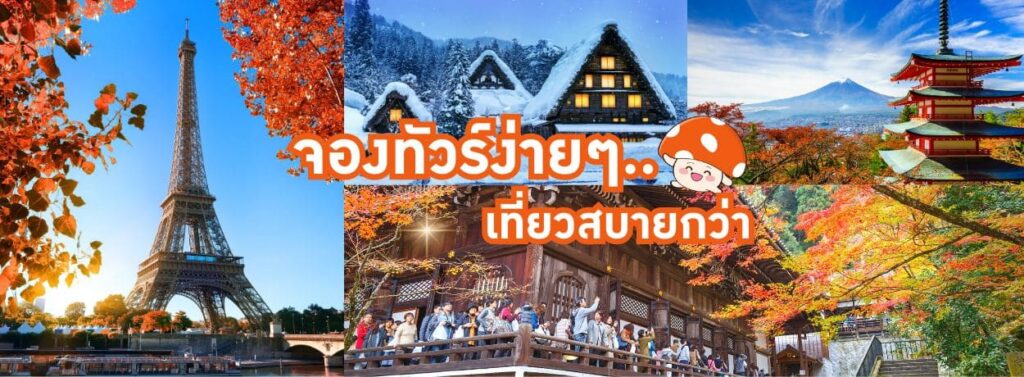 Mushroom Travel บริการบริษัททัวร์ เที่ยวเพลิน เที่ยวสนุกได้รับประสบการณ์ที่คุ้มค่าเต็มที่