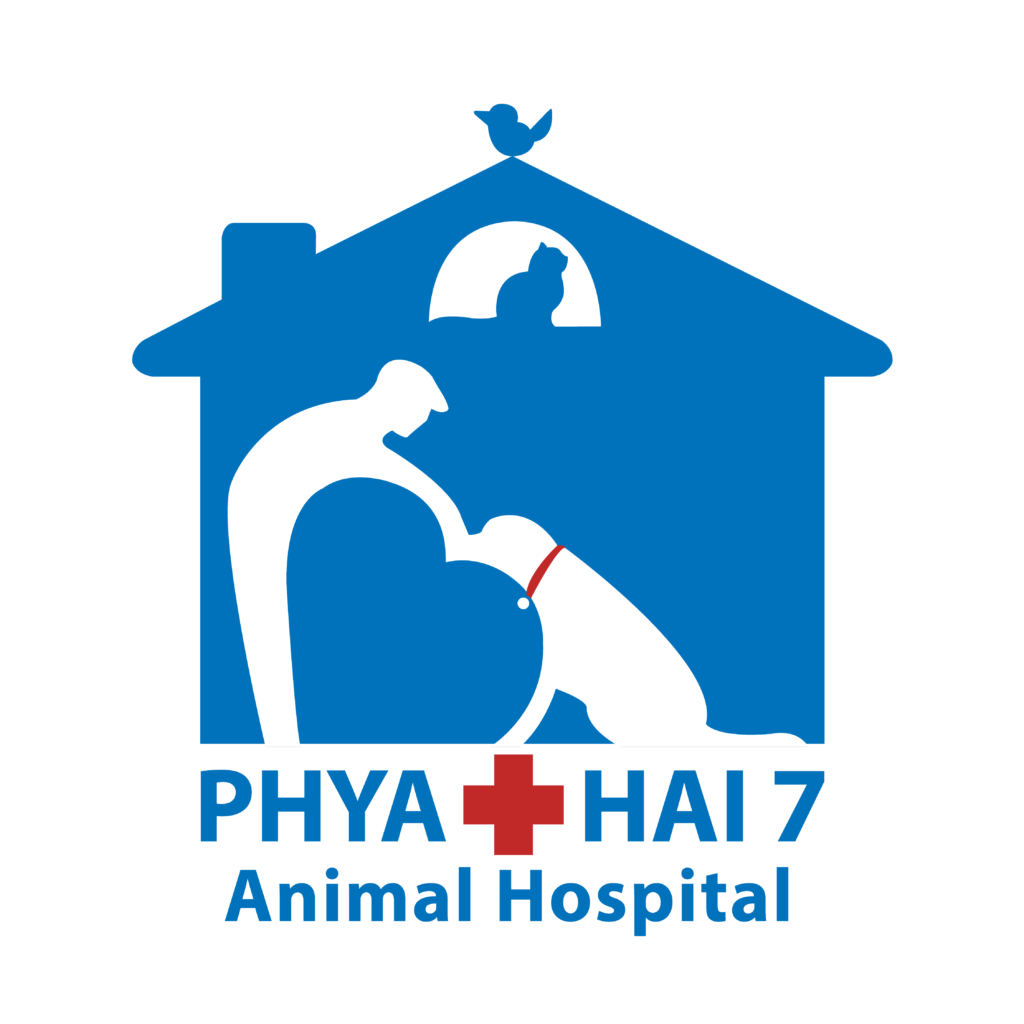 Phyathai 7 Animal Hospital โรงพยาบาลรักษาสัตว์ สร้างบรรยากาศสบายใจให้กับสัตว์เลี้ยงทุกตัว