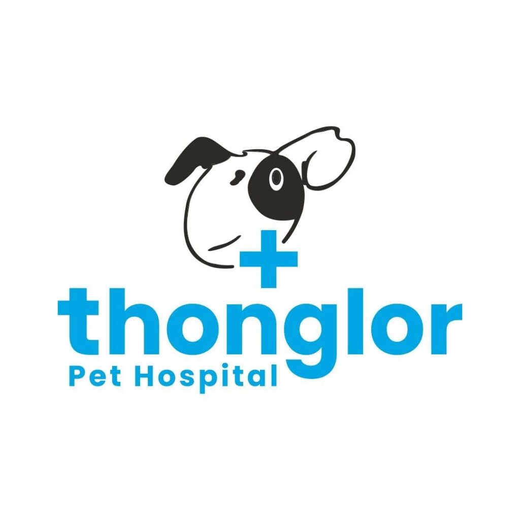 Thonglor International Pet Hospital บริการโรงพยาบาลรักษาสัตว์ มั่นใจได้จากประสบการณ์รักษามานาน