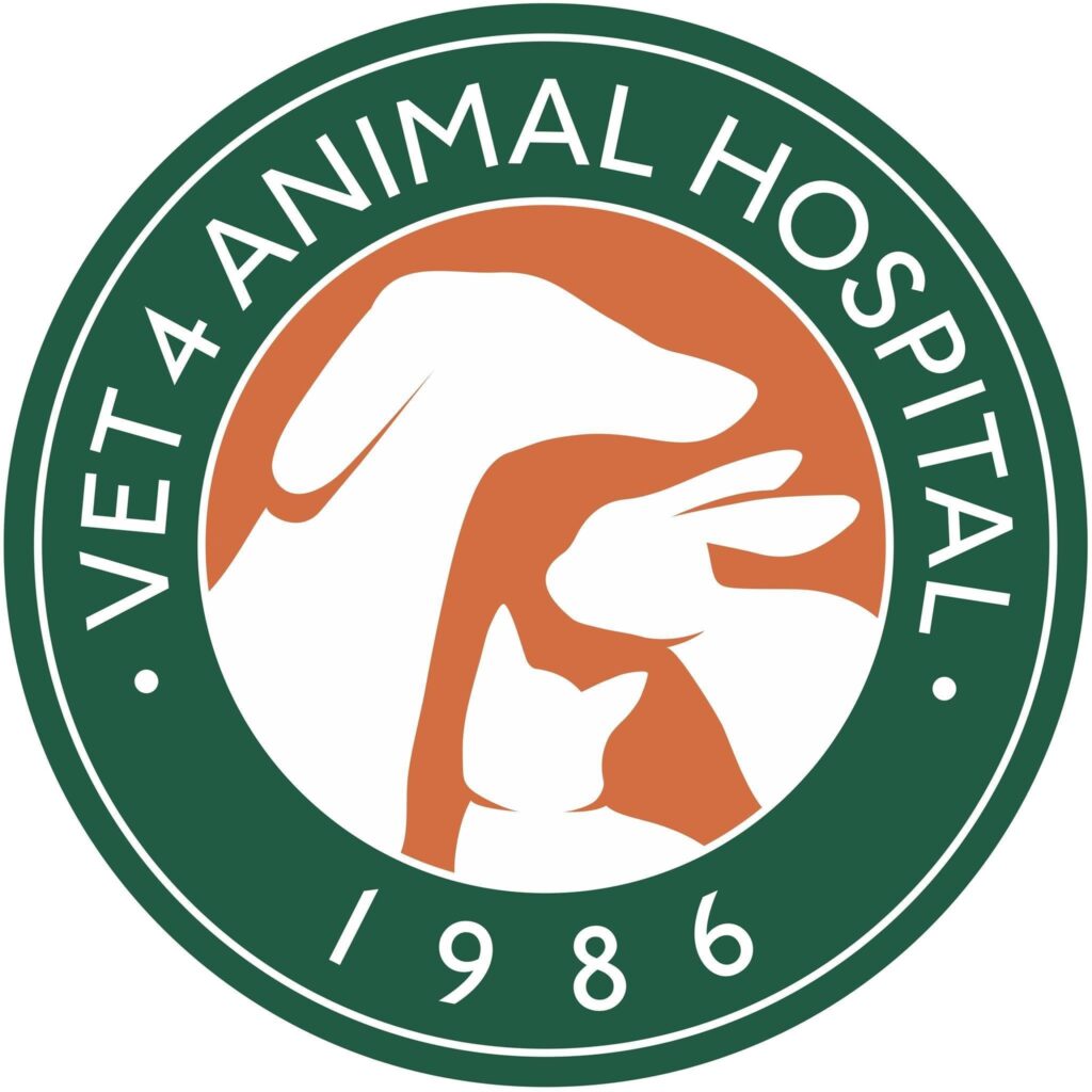 Vet4 Animal Hospital โรงพยาบาลรักษาสัตว์เลี้ยง เปิดพร้อมให้เข้าใช้บริการ 24 ชั่วโมง