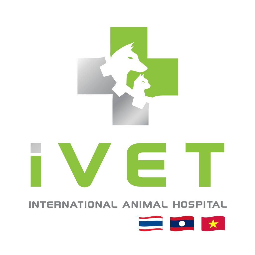 iVET Animal Hospital บริการโรงพยาบาลรักษาสัตว์เลี้ยง รับรองการตรวจ รักษาที่ได้หลักมาตรฐานสากล
