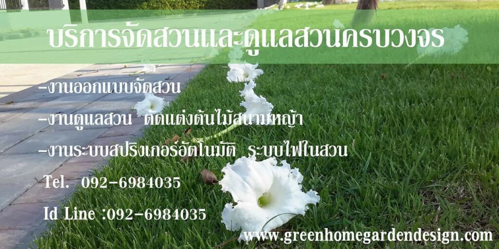 Green Home Garden Design บริการบริษัทจัดตกแต่งสวน ทุกงานสวนที่ต้องการจัดแต่งให้ดูดี เลือกทำได้ทันท