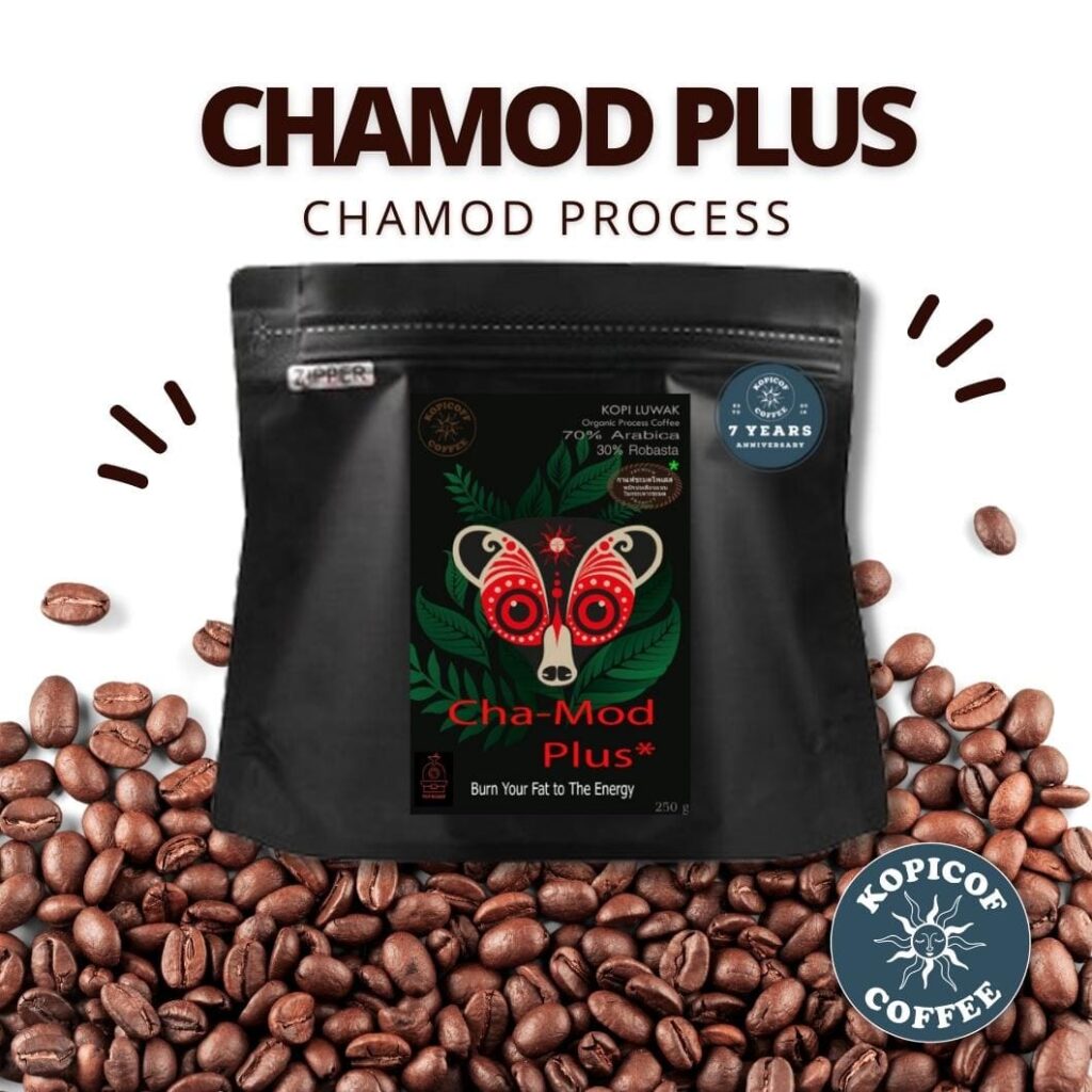 Kopicoff SIGNATURE CHAMOD PROCESS HI-END กาแฟขี้ชะมด โดดเด่นทุกการชงดื่ม